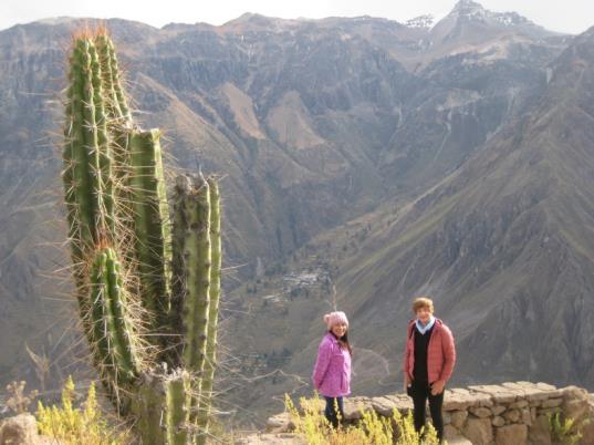 C:\Users\Adrian\Desktop\Temp\2019 Peru South\IMG_4019.JPG